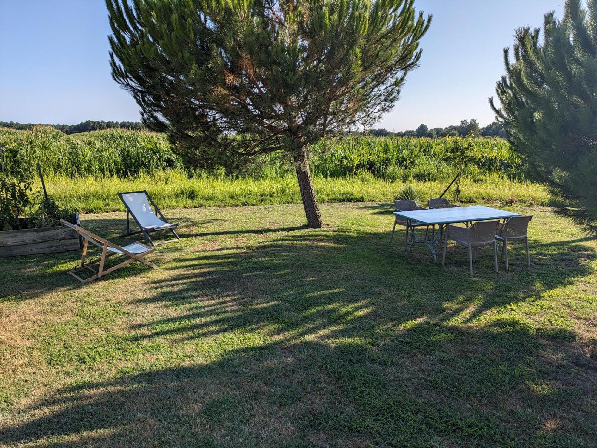 La Grange D'Hardy Villa Soustons Kültér fotó